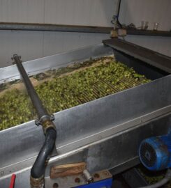 Sklavenitis Bio Olive Oil Factory (Σκλαβενίτης Νικόλαος Σπ.)