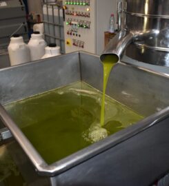 Sklavenitis Bio Olive Oil Factory (Σκλαβενίτης Νικόλαος Σπ.)