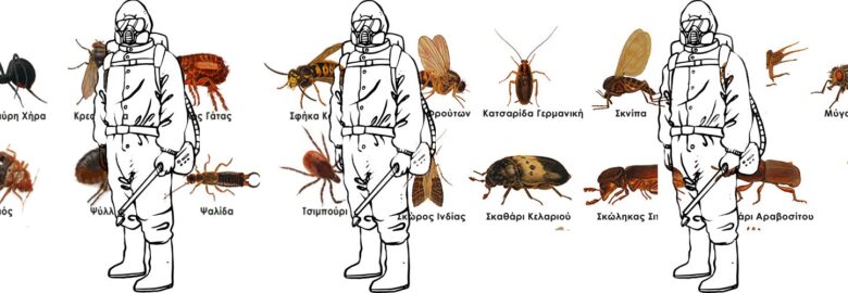 Pest Therapy (Μεσσήνη Ελευθερία)