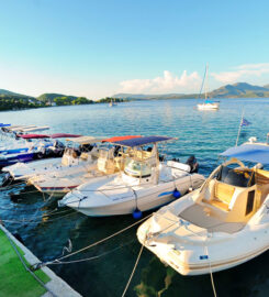 PipisBoats