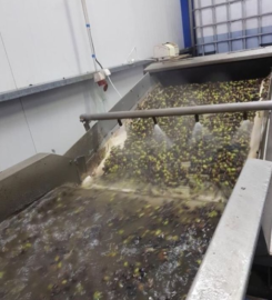 Sklavenitis Bio Olive Oil Factory (Σκλαβενίτης Νικόλαος Σπ.)