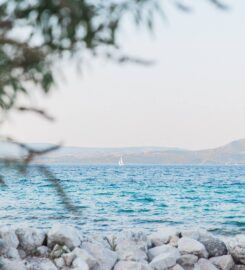 Ανάσα του Ζορμπά (Δαμιανής Παναγιώτης Κων.)