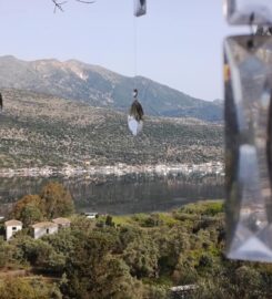 Θέα Cafe – Bar