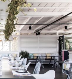 Vivarium Wine Restaurant