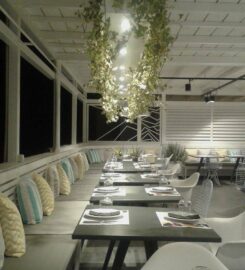 Vivarium Wine Restaurant