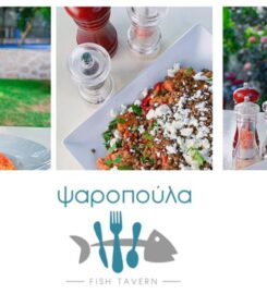 Ταβέρνα Ψαροπούλα (Βεργίνης Άγγελος Δημ.)