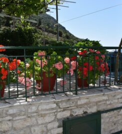 Poros Seaside (Κονιδάρης Κρίτων Γ.)