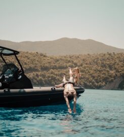 Infinity Rib Cruises