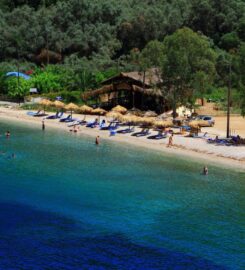 Agrios Beach Bar (Κοντογιώργης Μιχαήλ Κων.)