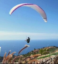 Fly Me