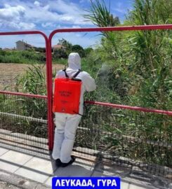 K & G Pest Control