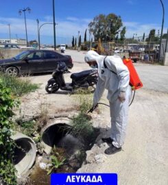 K & G Pest Control