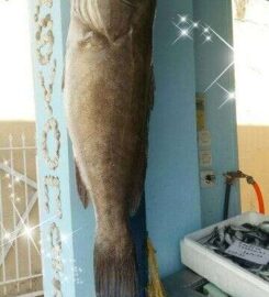 Ιχθυοπωλείο Η Ψαρού (Σταύρακας Σπυρίδων)