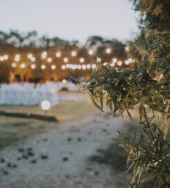 Sozos Catering (Σώζος Φίλιππος)