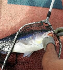 Lefkada Fishing Cruises (Τάσος Μήτσουρας)