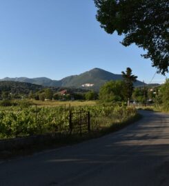 Paleta Kiosk (Ζαμπέλης Νίκος)