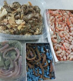 Belegrinos Marine Store