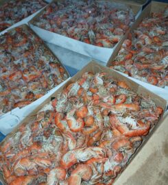 Belegrinos Marine Store