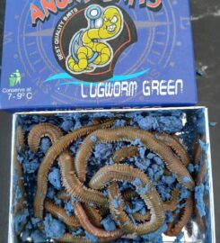 Belegrinos Marine Store