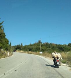 Dream Tours Lefkada