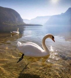 Dream Tours Lefkada